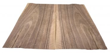 Veneer for Bodies Walnut, with Sapwood, 2-pcs. 560x180x0.6mm